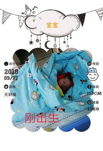 journal_insert_pic_1104430596