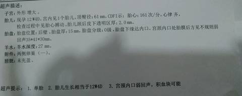 journal_insert_pic_1105169684