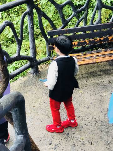 journal_insert_pic_1105374232