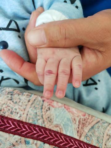 journal_insert_pic_1105934654