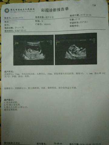 journal_insert_pic_1106525553
