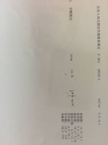 journal_insert_pic_1107043729