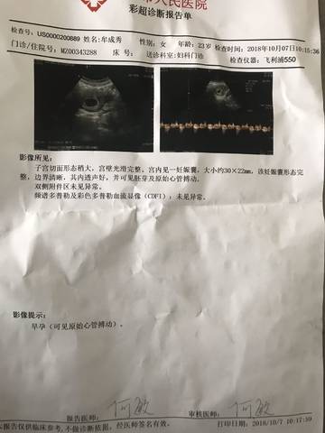 journal_insert_pic_1106811068