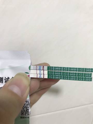 journal_insert_pic_1107030765