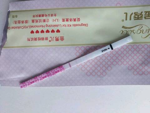 journal_insert_pic_1107233626