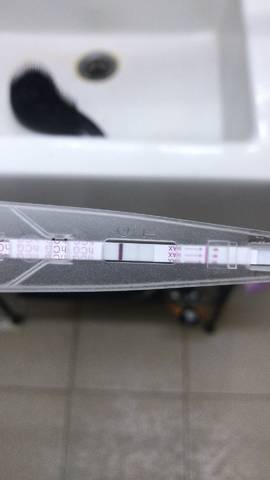 journal_insert_pic_1107159583