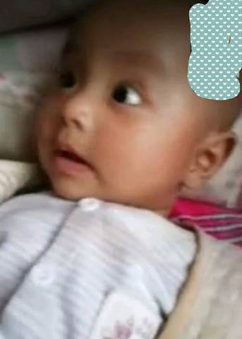 journal_insert_pic_1107338922