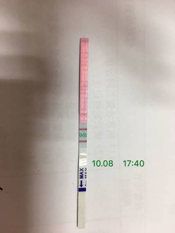 journal_insert_pic_1108082120