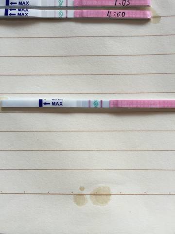journal_insert_pic_1107761327