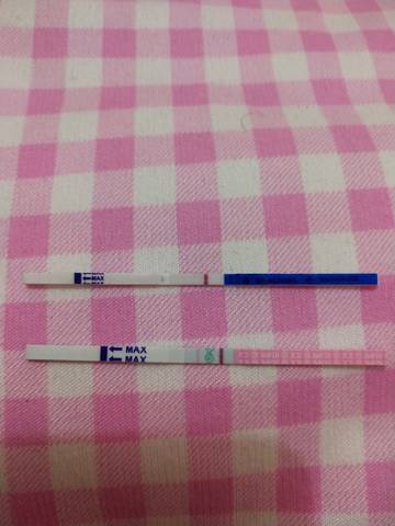 journal_insert_pic_1108756341