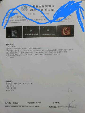 journal_insert_pic_1108947510