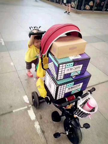 journal_insert_pic_1108348011