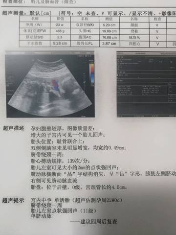 journal_insert_pic_1109498600