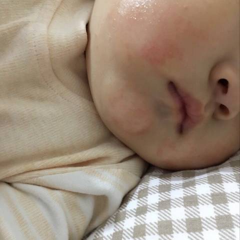 journal_insert_pic_1109494352