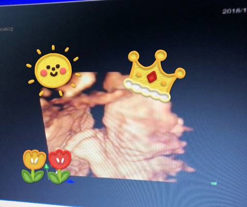 journal_insert_pic_1109252417