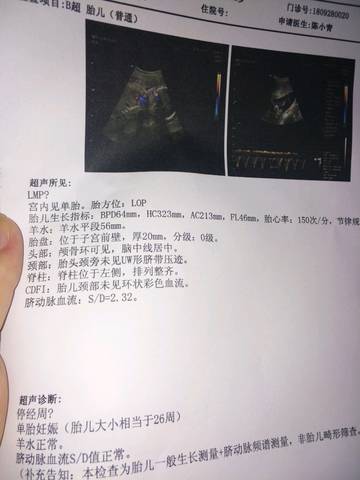 journal_insert_pic_1109266054