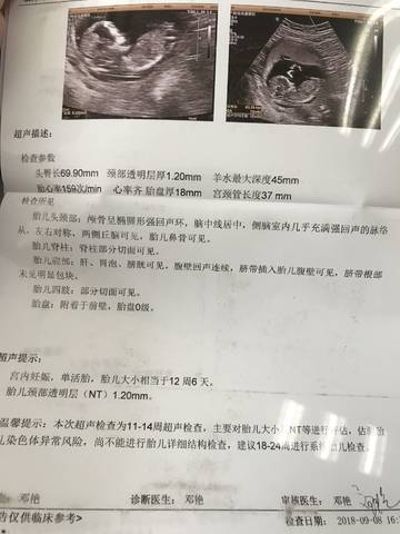 journal_insert_pic_1109250194