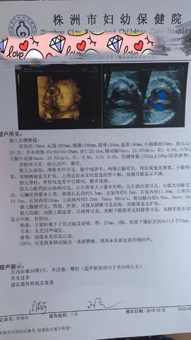 journal_insert_pic_1110346640