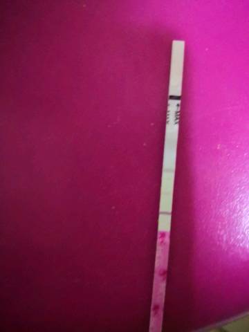 journal_insert_pic_1110696072