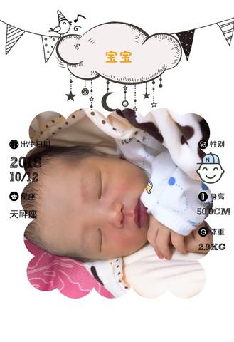 journal_insert_pic_1110205230