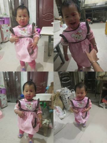 journal_insert_pic_1110555846