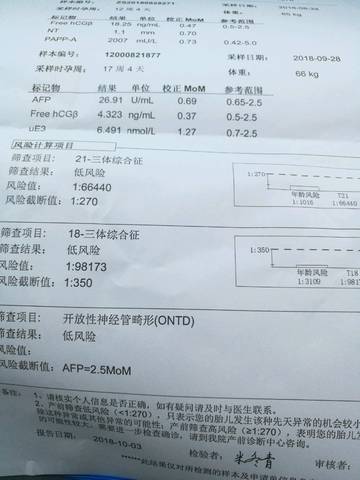 journal_insert_pic_1111033418