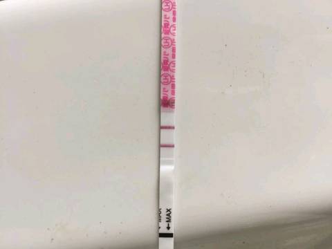 journal_insert_pic_1111570409