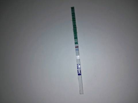 journal_insert_pic_1111577437