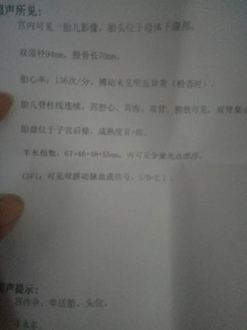 journal_insert_pic_1111363605