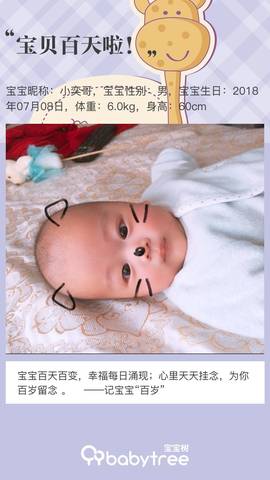 journal_insert_pic_1111522545