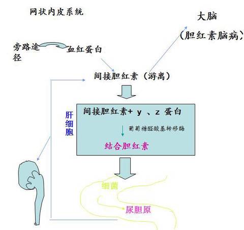 journal_insert_pic_1112078091