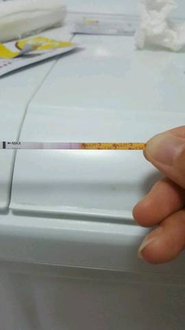 journal_insert_pic_1113011027