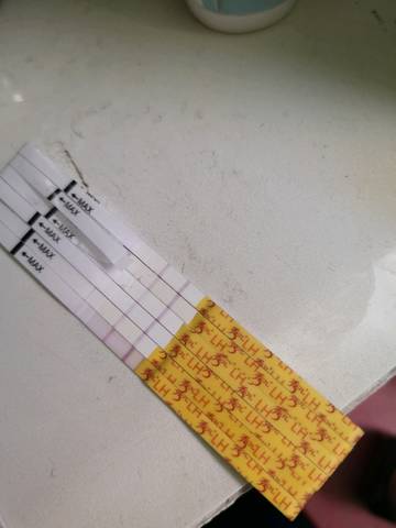 journal_insert_pic_1114790608