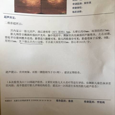 journal_insert_pic_1114489226