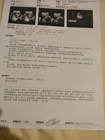 journal_insert_pic_1115039578