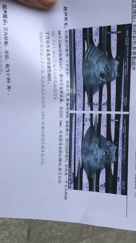 journal_insert_pic_1115257460