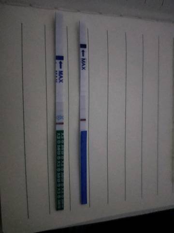 journal_insert_pic_1115517784