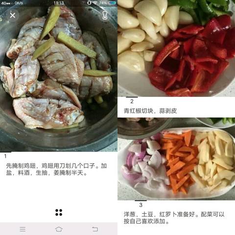 journal_insert_pic_1115684624