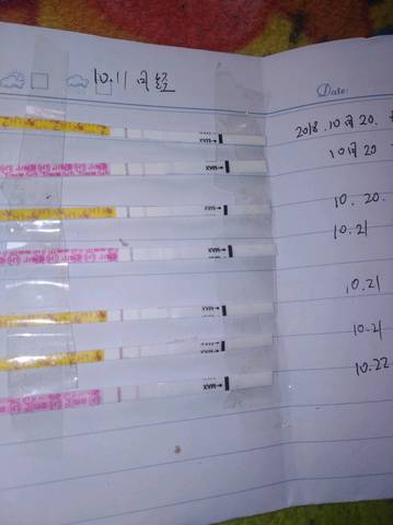 journal_insert_pic_1116232892