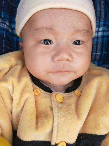 journal_insert_pic_1116424555