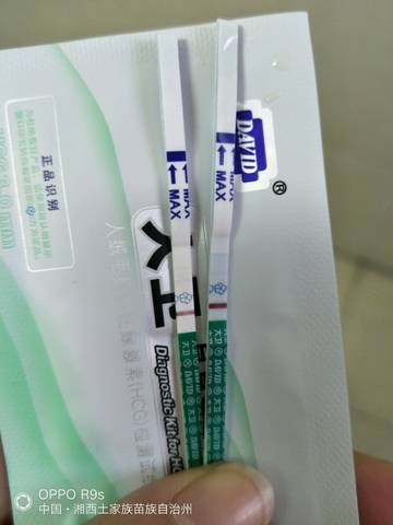 journal_insert_pic_1116163789