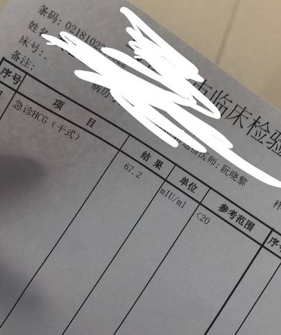 journal_insert_pic_1116888071