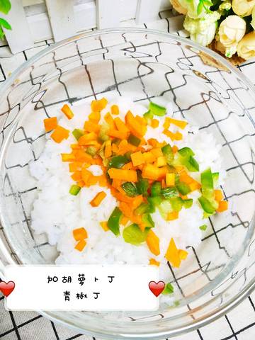 journal_insert_pic_1117151463