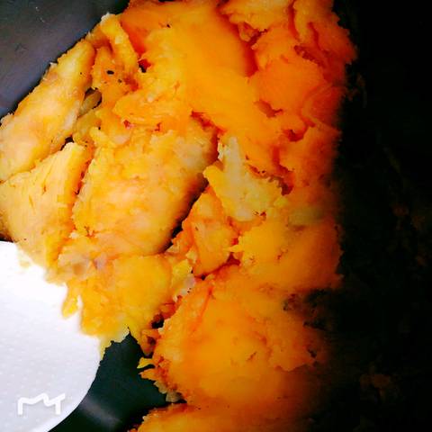 journal_insert_pic_1117371235