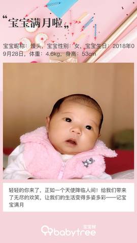 journal_insert_pic_1120093417