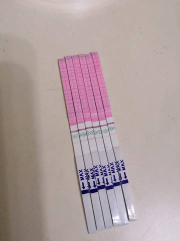 journal_insert_pic_1119967018