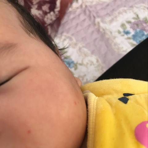 journal_insert_pic_1120834302