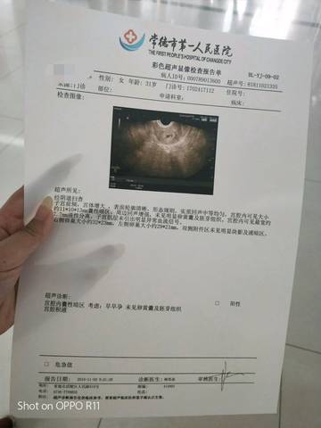 journal_insert_pic_1122467553