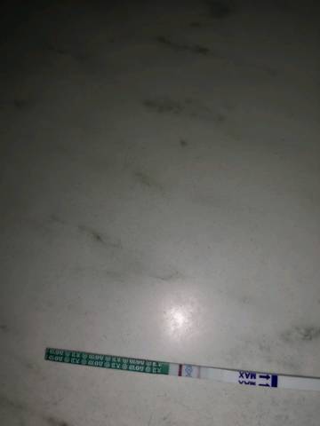 journal_insert_pic_1123374158
