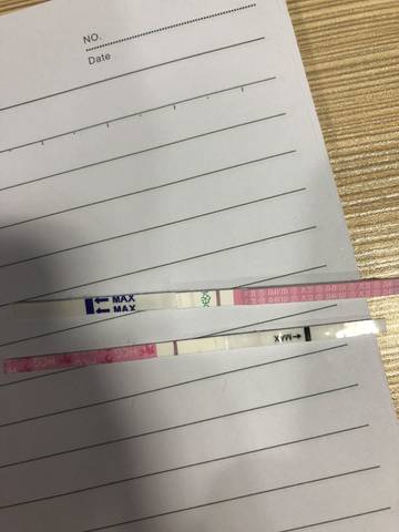 journal_insert_pic_1123026464